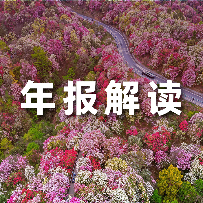 Z6尊龙集团官方网站升级2025营收利润双增，全栈智能驱动增长，AI有关业务收入占比达52.6%  ?